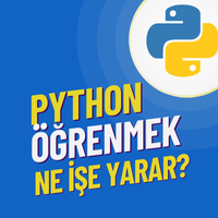 Python Öğrenmek Ne İşe Yarar?